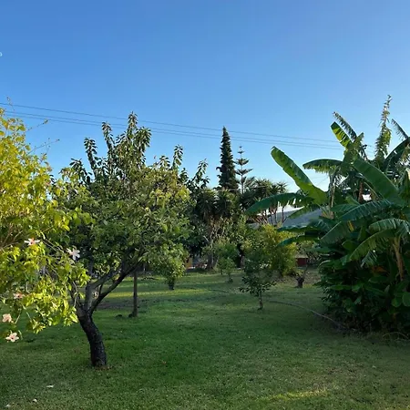 Anabelis & * Katelios